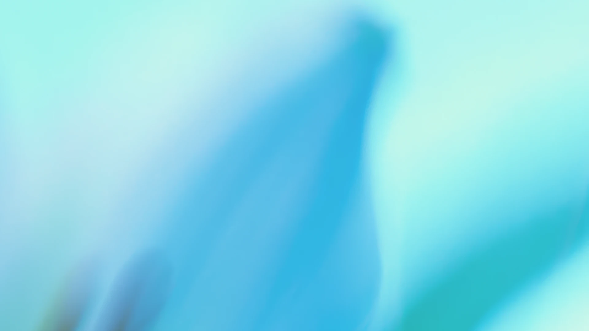 Introducing Stargate UAE